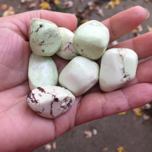 Load image into Gallery viewer, Lemon Chrysoprase Tumbles - Song of Stones