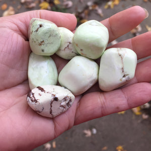 Lemon Chrysoprase Tumbles - Song of Stones