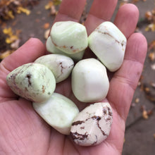 Load image into Gallery viewer, Lemon Chrysoprase Tumbles - Song of Stones