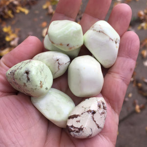 Lemon Chrysoprase Tumbles - Song of Stones