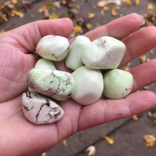Load image into Gallery viewer, Lemon Chrysoprase Tumbles - Song of Stones