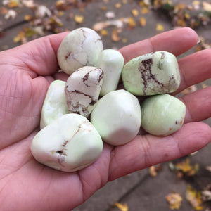 Lemon Chrysoprase Tumbles - Song of Stones