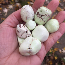 Load image into Gallery viewer, Lemon Chrysoprase Tumbles - Song of Stones