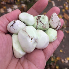 Load image into Gallery viewer, Lemon Chrysoprase Tumbles - Song of Stones