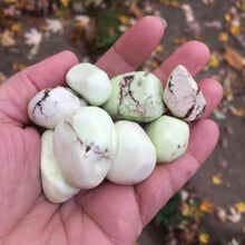 Load image into Gallery viewer, Lemon Chrysoprase Tumbles - Song of Stones