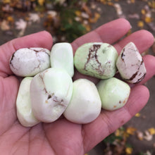 Load image into Gallery viewer, Lemon Chrysoprase Tumbles - Song of Stones