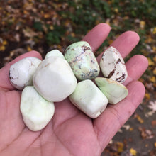 Load image into Gallery viewer, Lemon Chrysoprase Tumbles - Song of Stones
