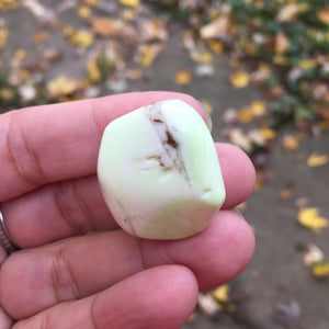 Lemon Chrysoprase Tumbles - Song of Stones