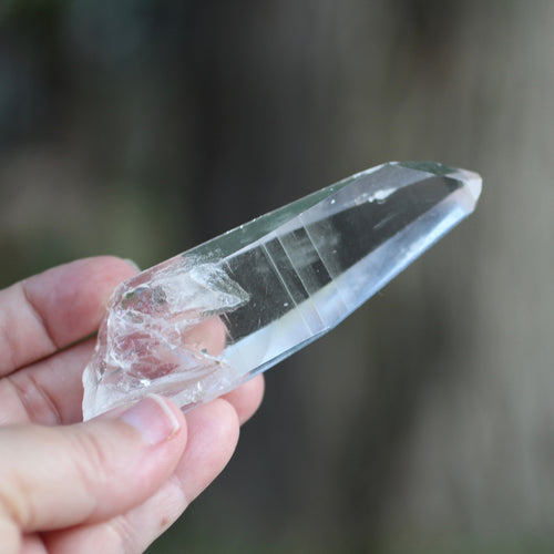 Lemurian 7