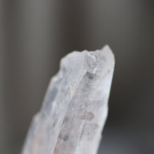 Load image into Gallery viewer, Dolphin Doorway Lightning Struck Crystal - Song of Stones