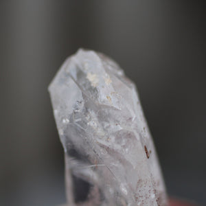 Dolphin Doorway Lightning Struck Crystal - Song of Stones