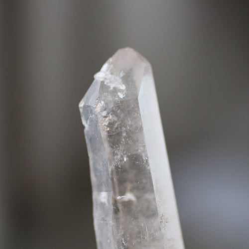 Upward Facing Dolphin Lightning Struck Crystal - Song of Stones