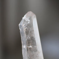 Upward Facing Dolphin Lightning Struck Crystal - Song of Stones