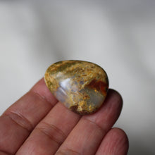Load image into Gallery viewer, Lion King Opal