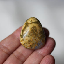 Load image into Gallery viewer, Lion King Opal