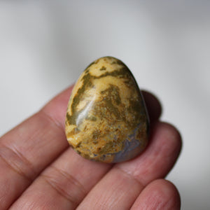 Lion King Opal