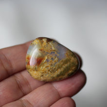 Load image into Gallery viewer, Lion King Opal