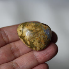 Load image into Gallery viewer, Lion King Opal
