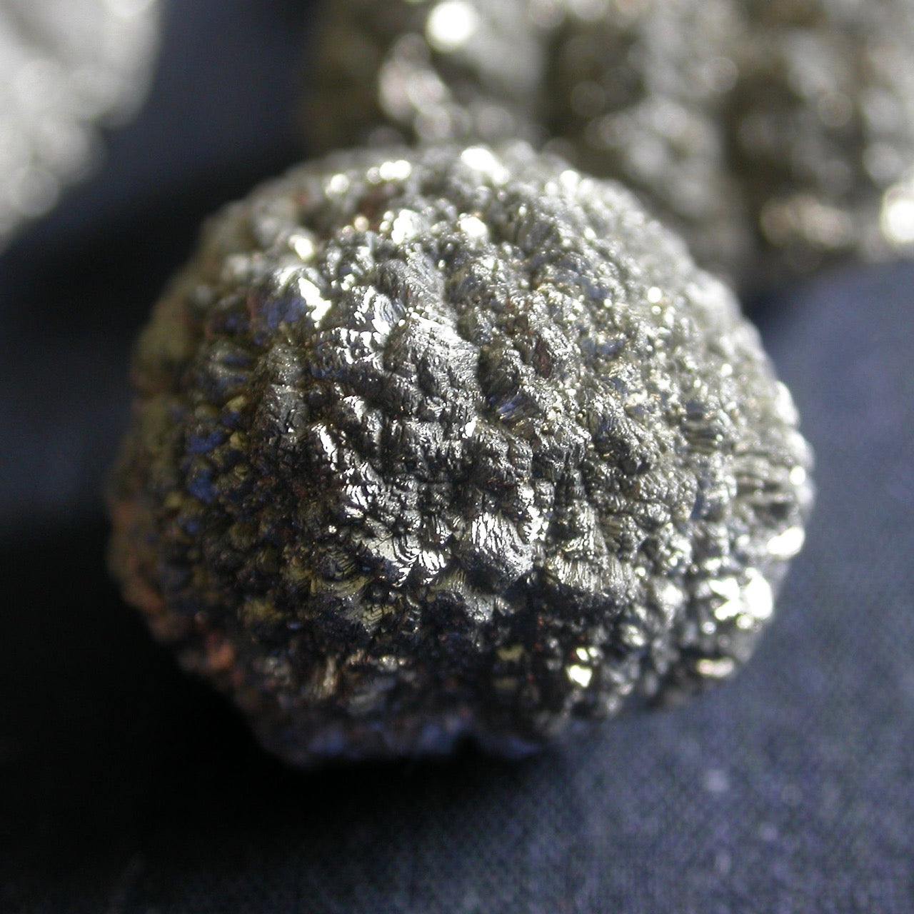 Marcasite Fossil Nodules Song of Stones