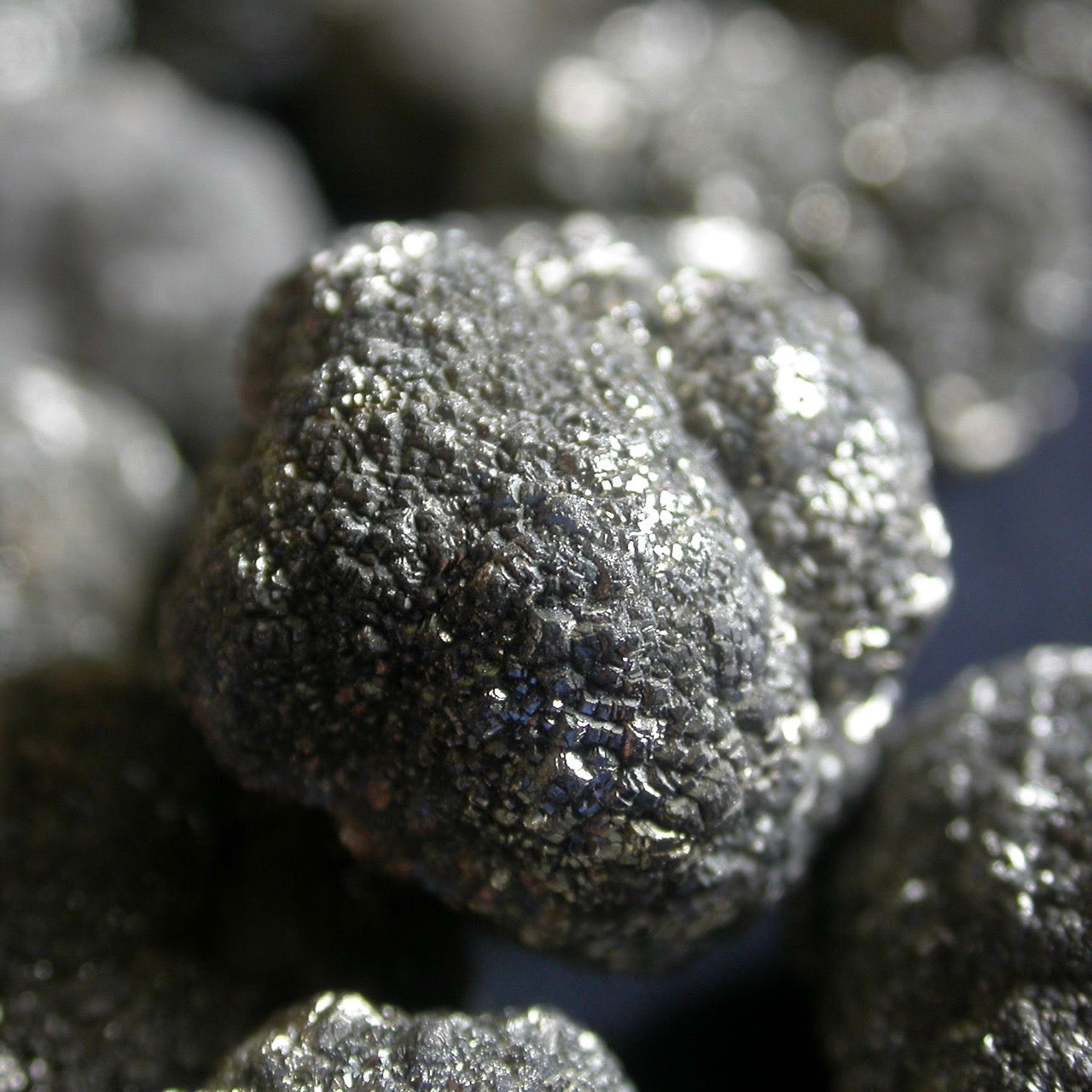 Marcasite nodules for sale on sale