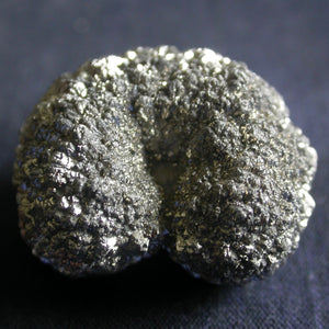 Marcasite Fossil Nodules - Song of Stones