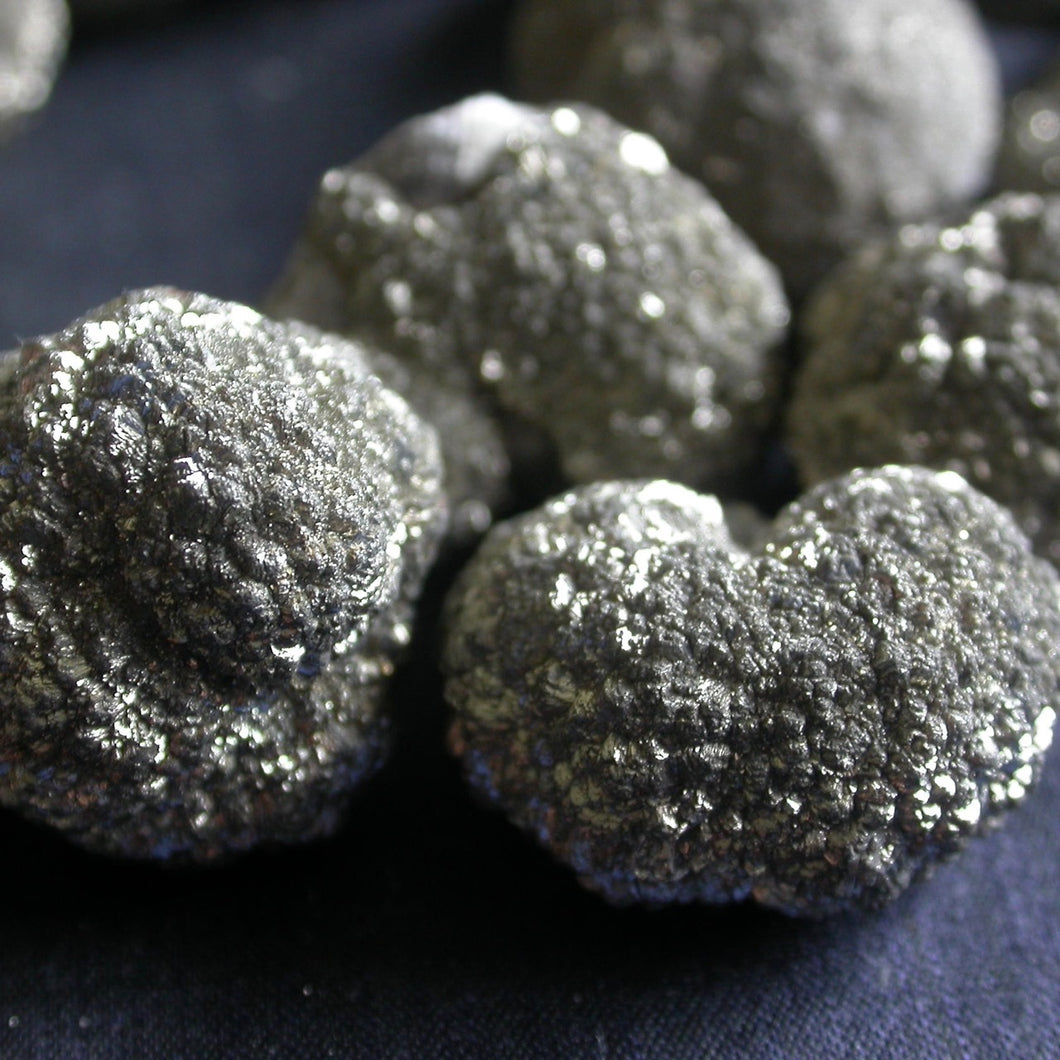 Marcasite Fossil Nodules - Song of Stones