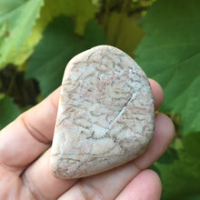 Load image into Gallery viewer, My Gosh - Song of Stones