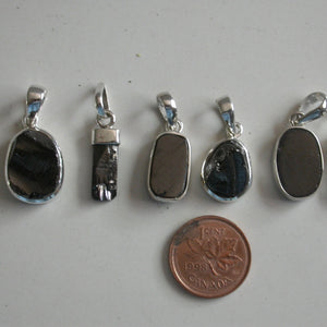 Noble Shungite Pendants - Song of Stones