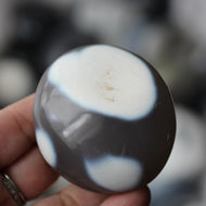 Orca Agate - Song of Stones