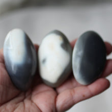Load image into Gallery viewer, Whale Pod Orca Agates