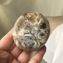 Load image into Gallery viewer, Water Baby Owlephant