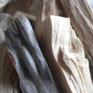 Palo Santo Holy Wood incense sticks - Song of Stones
