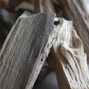 Palo Santo Holy Wood incense sticks - Song of Stones