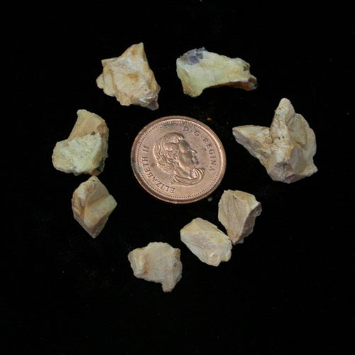 Parisite Flowers circle of matrix pieces - Song of Stones