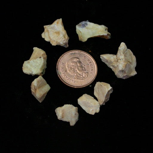 Parisite Flowers circle of matrix pieces - Song of Stones