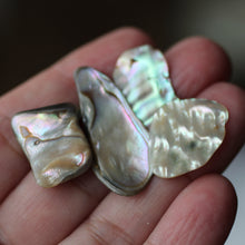 Load image into Gallery viewer, Paua Abalone Shell pair - Song of Stones
