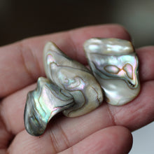 Load image into Gallery viewer, Paua Abalone Shell pair - Song of Stones