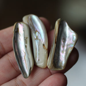 Paua Abalone Shell pair - Song of Stones