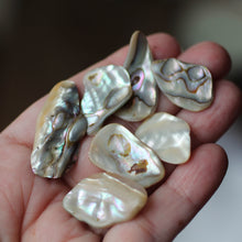 Load image into Gallery viewer, Paua Abalone Shell pair - Song of Stones