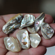 Load image into Gallery viewer, Paua Abalone Shell pair - Song of Stones
