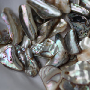 Paua Abalone Shell pair - Song of Stones