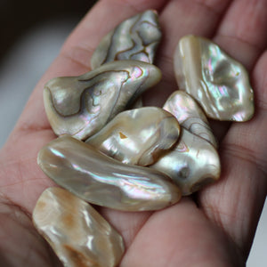 Paua Abalone Shell pair - Song of Stones