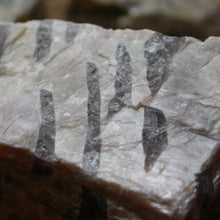 Load image into Gallery viewer, Scribal&#39;d Raw in Moonstone - Song of Stones