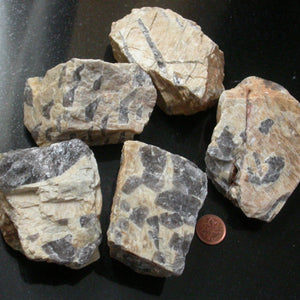 Scribal'd Raw in Moonstone - Song of Stones