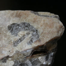 Load image into Gallery viewer, Scribal&#39;d Raw in Moonstone - Song of Stones