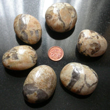 Load image into Gallery viewer, Scribal&#39;d in Moonstone - Song of Stones