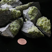 Load image into Gallery viewer, Peridot Crystals on Basalt - Song of Stones