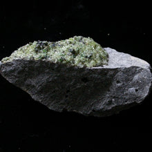 Load image into Gallery viewer, Peridot Crystals on Basalt - Song of Stones