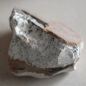 Picture Jasper - Song of Stones