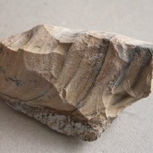 Load image into Gallery viewer, Picture Jasper - Song of Stones